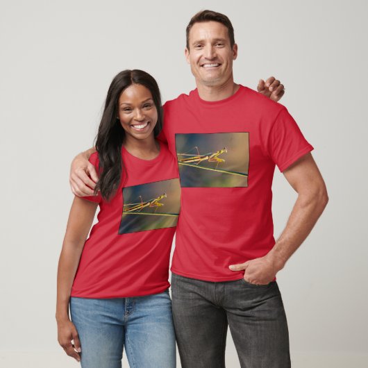 T-shirt (Unisex)