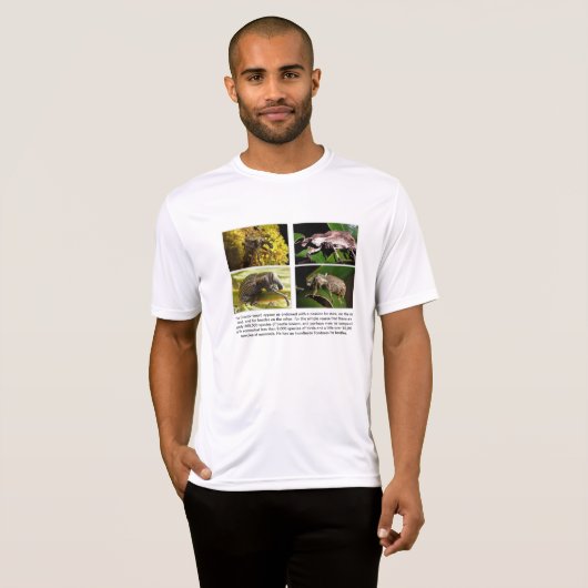 T-shirt (Voorkant volledig)
