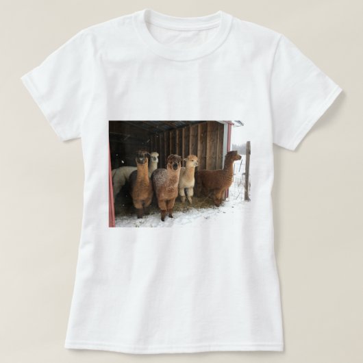 T-shirt - Alpaca's in de sneeuw (Design voorkant)