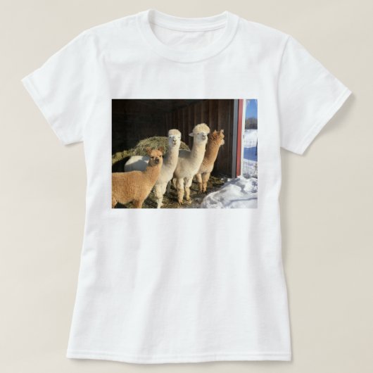 T-shirt - Alpaca's in de winterzon (Design voorkant)