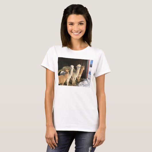 T-shirt - Alpaca's in de winterzon (Voorkant volledig)