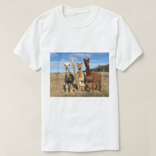 T-shirt - Alpacas Phaethon, Barley & Marvin
