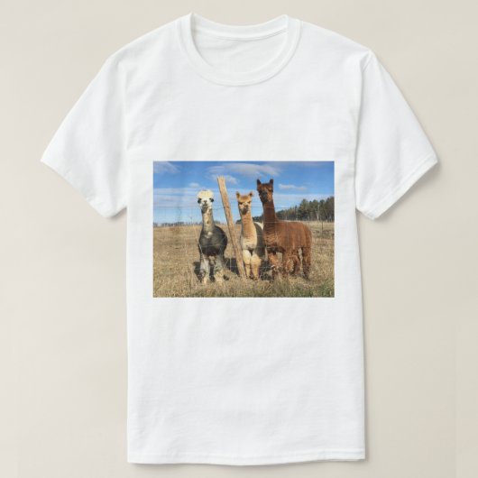 T-shirt - Alpacas Phaethon, Barley & Marvin (Design voorkant)