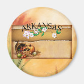 T-SHIRT Arkansas Magnets Magneet (Voorkant)