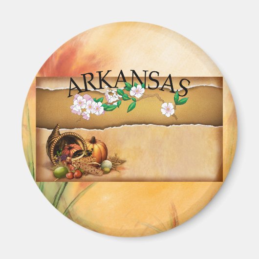 T-SHIRT Arkansas Magnets Magneet (Voorkant)