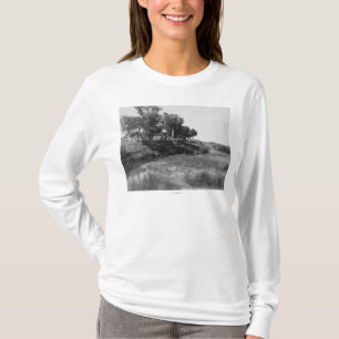 T-shirt balk op Pet Creek-foto