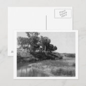 T-shirt balk op Pet Creek-foto Briefkaart (Voorkant / Achterkant)