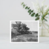 T-shirt balk op Pet Creek-foto Briefkaart (Staand voorkant)