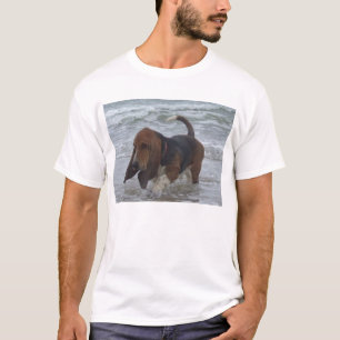 T-Shirt Basset Hound at the Zee