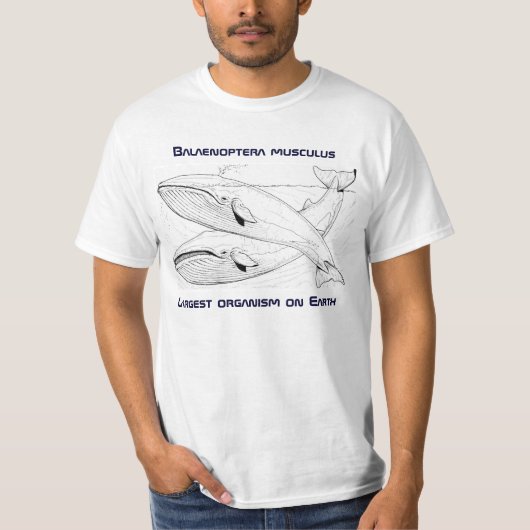 T-shirt blauwe walvis (Voorkant)