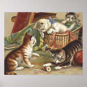 T-SHIRT Curieuze kat Poster