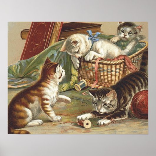 T-SHIRT Curieuze kat Poster (Voorkant)