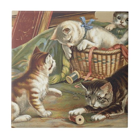 T-SHIRT Curieuze kat Tegeltje (Voorkant)