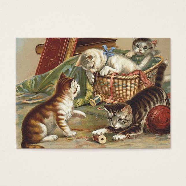 T-SHIRT Curieuze kat Visitekaartje (Voorkant)