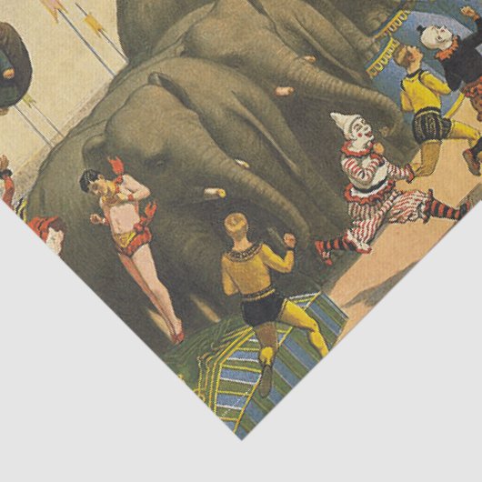 T-SHIRT Elephant Acrobat Tissuepapier (Detail)