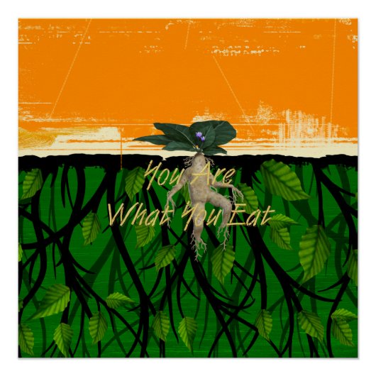 T-SHIRT Fun Food Slogan Perfect Poster (Voorkant)