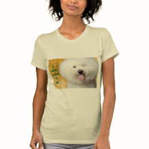 T-shirt Funny Dog Print A Wink zegt het allemaal