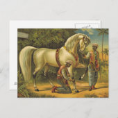 T-SHIRT Horse Royalty Briefkaart (Voorkant / Achterkant)