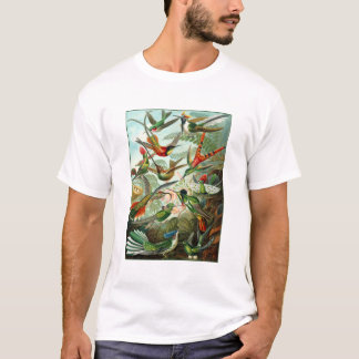 T-shirt: kolibries ("Trochilidae") van Haeckel T-shirt
