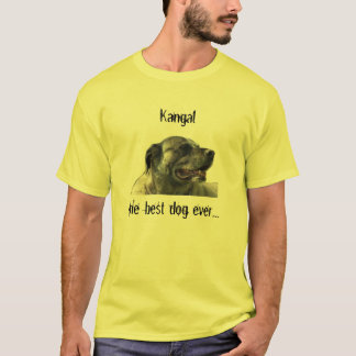 t-shirt mit kangal