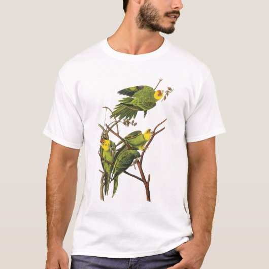 T-Shirt: Parkieten - door John Audubon T-shirt (Voorkant)