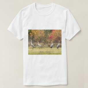 T-shirt - Sandhill kranen