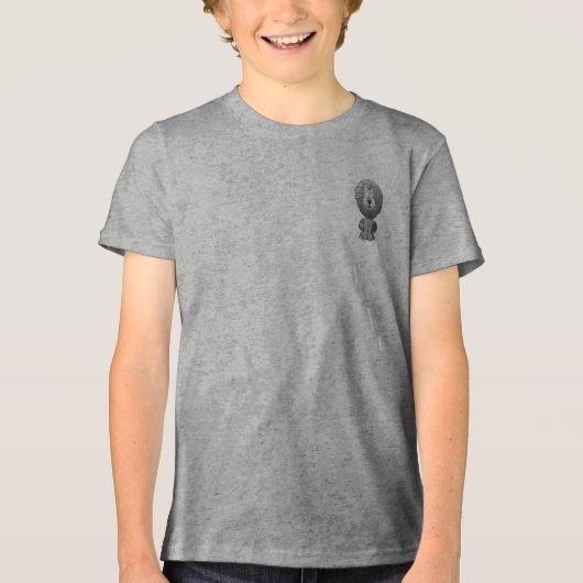 T-Shirt TRI BLEND BOYS LION CARTOON DESIGN (Voorkant)