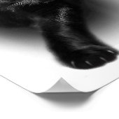 T-shirt van zwarte kattengeel T-shirt Poster (Hoek)