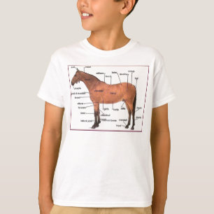 t-shirt voor paardenanatomie