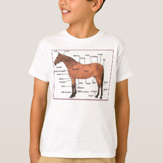 t-shirt voor paardenanatomie