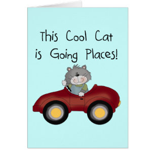 T-shirts en de Giften van de Auto van de Plaatsen