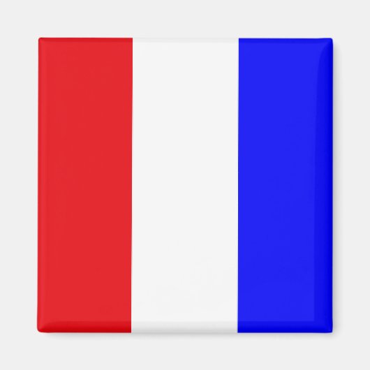 "T" (Tango) seinen vlag Magneet (Voorkant)