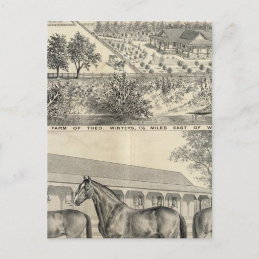 T Winters boerderij Briefkaart (Voorkant)