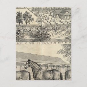 T Winters boerderij Briefkaart