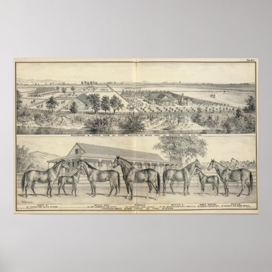 T Winters boerderij Poster (Voorkant)