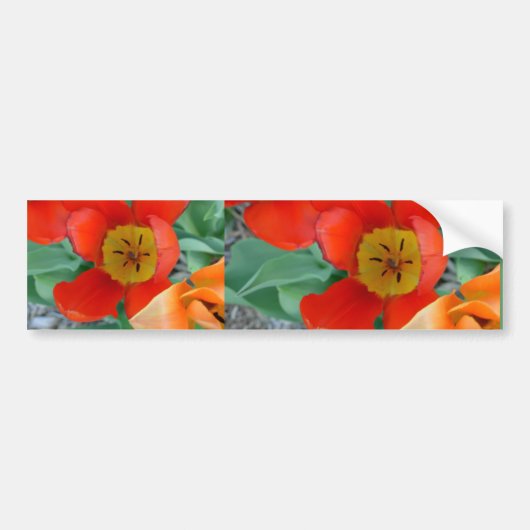 T zingbloemen van linda&apos op 16.027, ... bumpersticker (Voorkant)