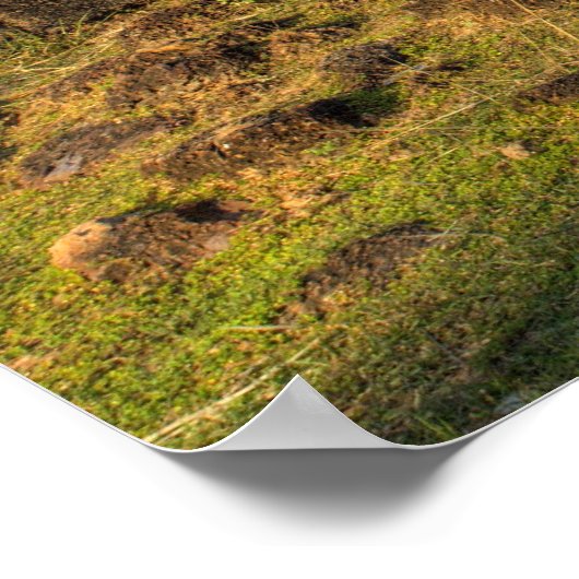 Ta Keo Temple Poster (Hoek)