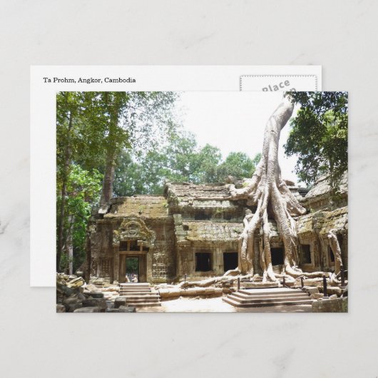 ta prohm angkor briefkaart (Voorkant / Achterkant)