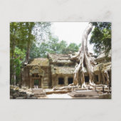 ta prohm angkor briefkaart (Voorkant)