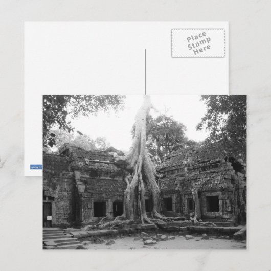 Ta Prohm Briefkaart (Voorkant / Achterkant)