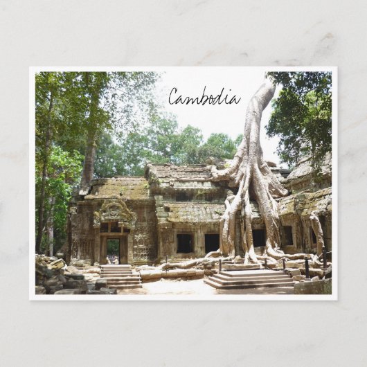 ta prohm cambodia briefkaart (Voorkant)
