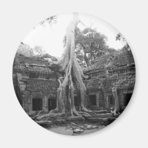 Ta Prohm Magneet