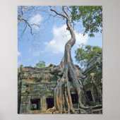 Ta Prohm Poster (Voorkant)