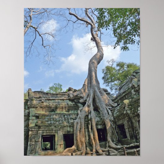 Ta Prohm Poster (Voorkant)