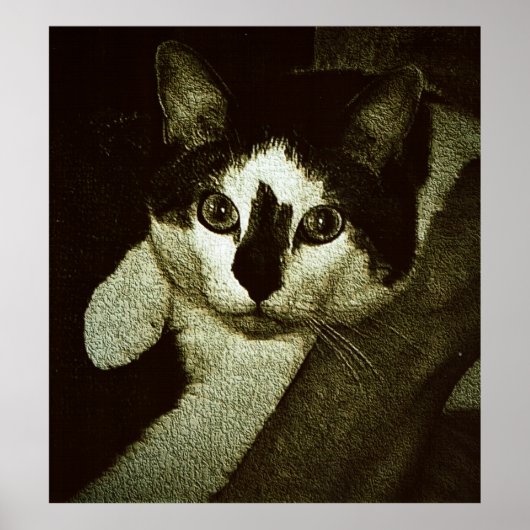 Taai Bud. Poster (Voorkant)