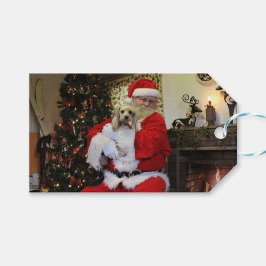 Taai en Kerstman Cadeaulabel (Voorkant (Horizontaal))