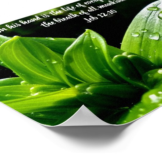 Taak 12:10, Afdrukken, Value-Poster papier (Matte) Poster (Hoek)