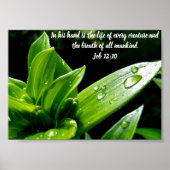 Taak 12:10, Afdrukken, Value-Poster papier (Matte) Poster (Voorkant)