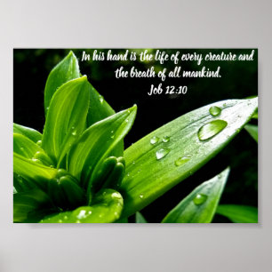 Taak 12:10, Afdrukken, Value-Poster papier (Matte) Poster