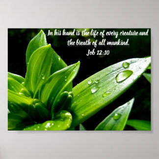 Taak 12:10, Afdrukken, Value-Poster papier (Matte) Poster